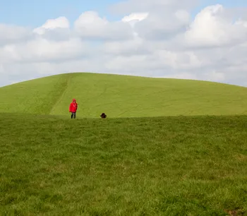 Lady Walking dog, green rolling hills.jpg